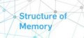 Structure of Memory Logo