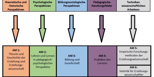 Am Zuordnung