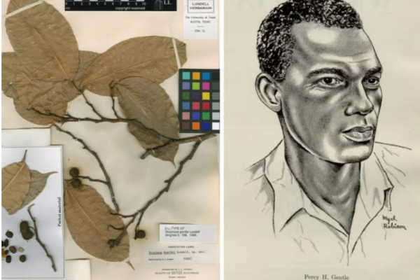 Screenshot 2025-12-17 130002