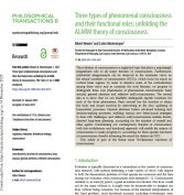 Three Types Of Phenomenal Consciousness 2025
