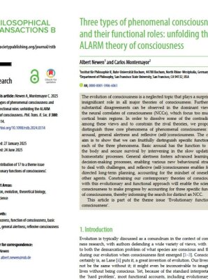 Three Types Of Phenomenal Consciousness 2025