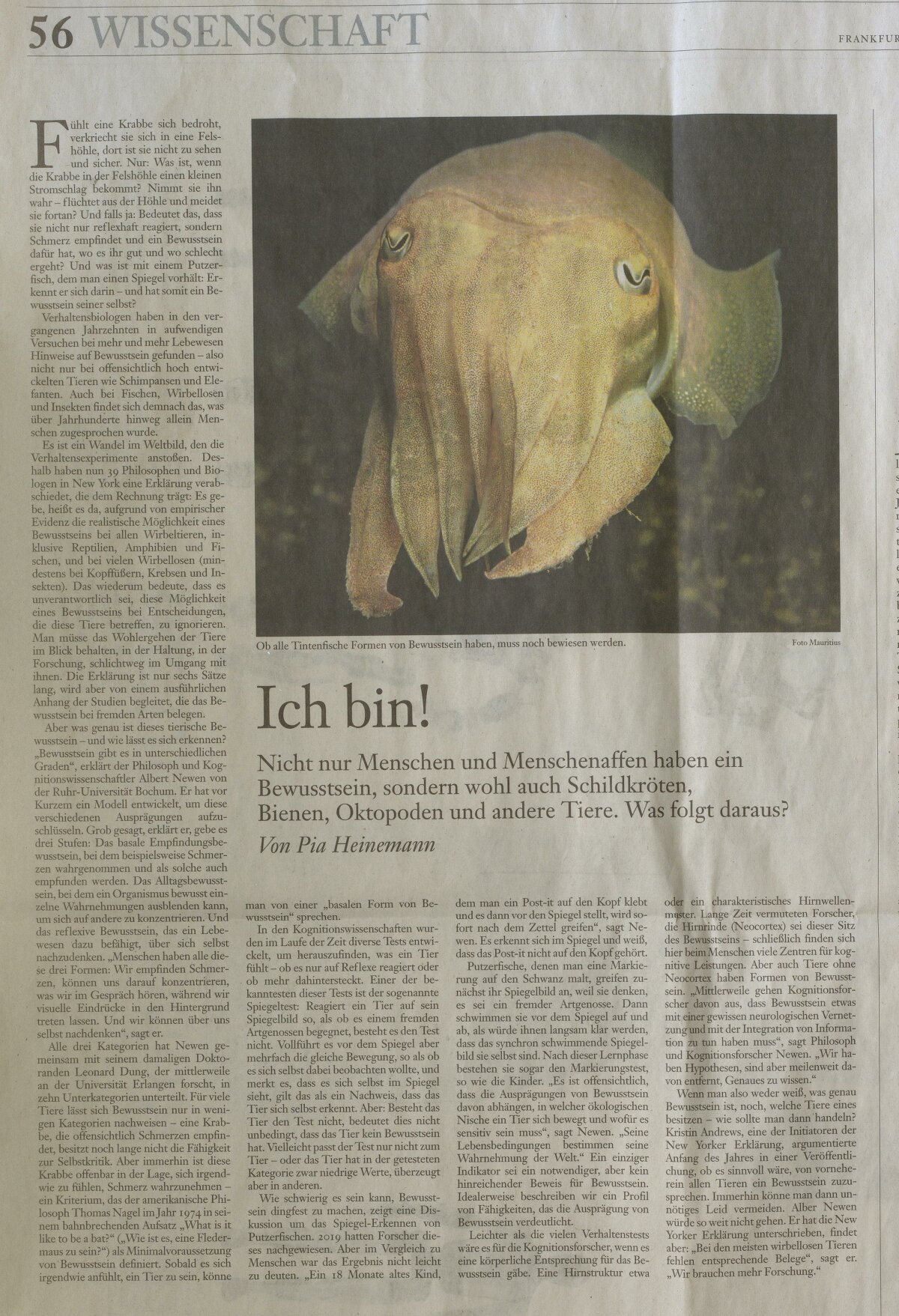 Artikel Ich Bin _frankfurter Allgemeine - Scan