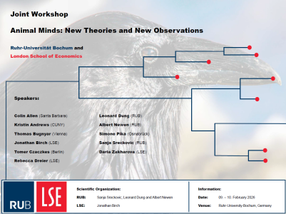 2026animalcognitionvorschlagbild