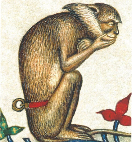 Philosopher Monkey Cropped