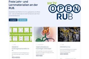 25 Sose - Am6 _oer - Screenshot 2025-07-02 153334n